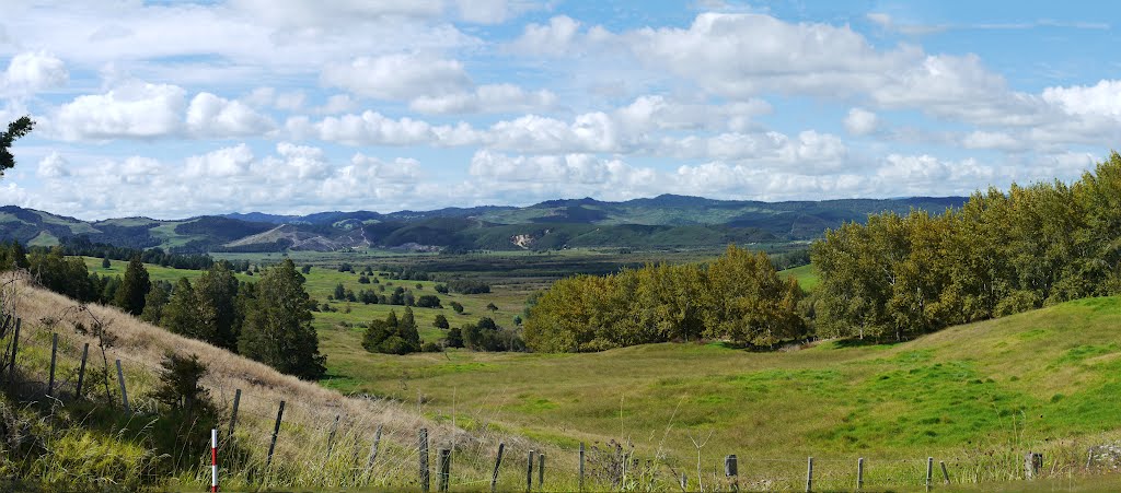 View from Highway 1, near Umawera, Northland by Linbery