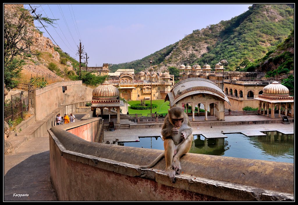 Monkey Temple - Jaipur - Rajasthan by Karppanta