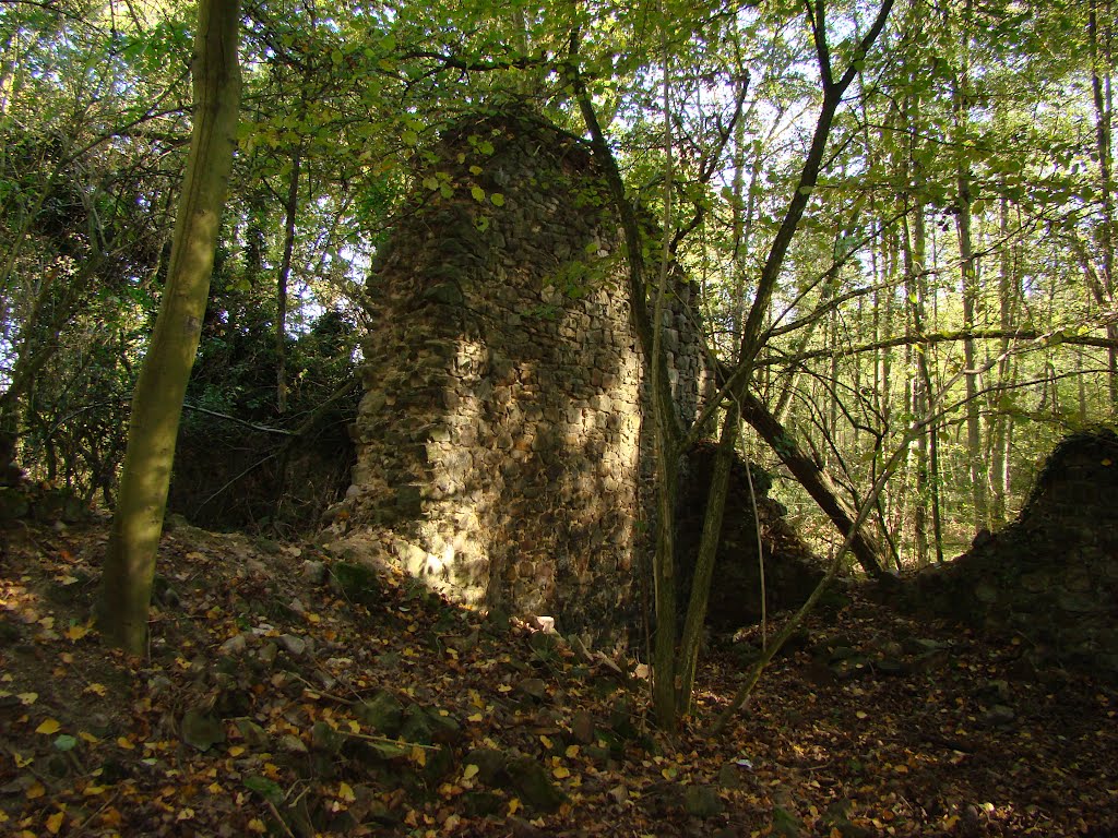 Meroder Wald (Klosterruine Schwarzenbroich/Hier befand sich der Chor der Klosterkirche. ) Oktober 2011 by DortmundWestfalica