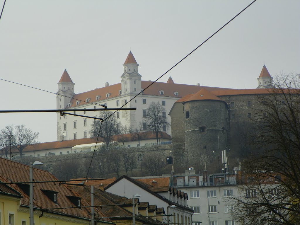 Bratislava, Eslovaquia by Nelson Pérez