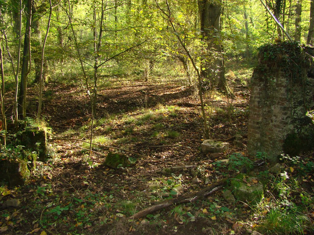 Meroder Wald (Klosterruine Schwarzenbroich/Hier befand sich der Kreuzgang mit dem Kreuzgangshof.) Oktober 2011 by DortmundWestfalica