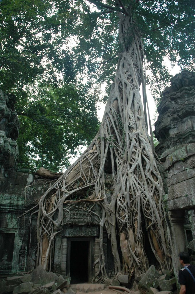 Sangkat Nokor Thum, Krong Siem Reap, Cambodia by William Ng