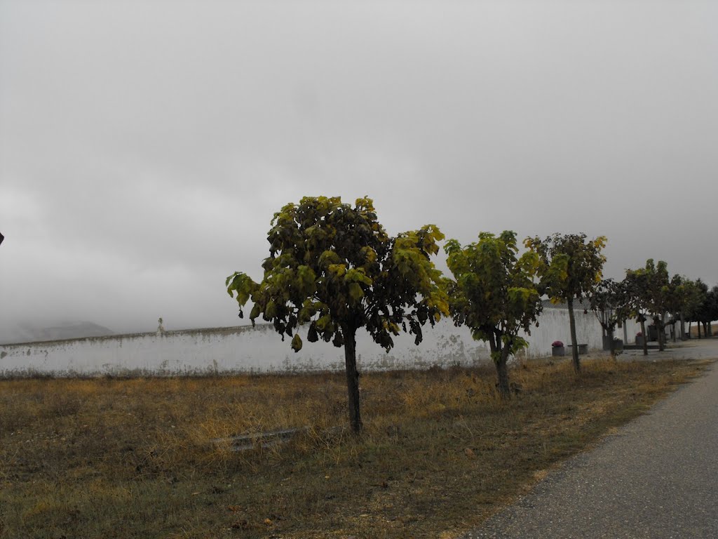 Cementerio de Villalazan, Zamora by Aquielrafa