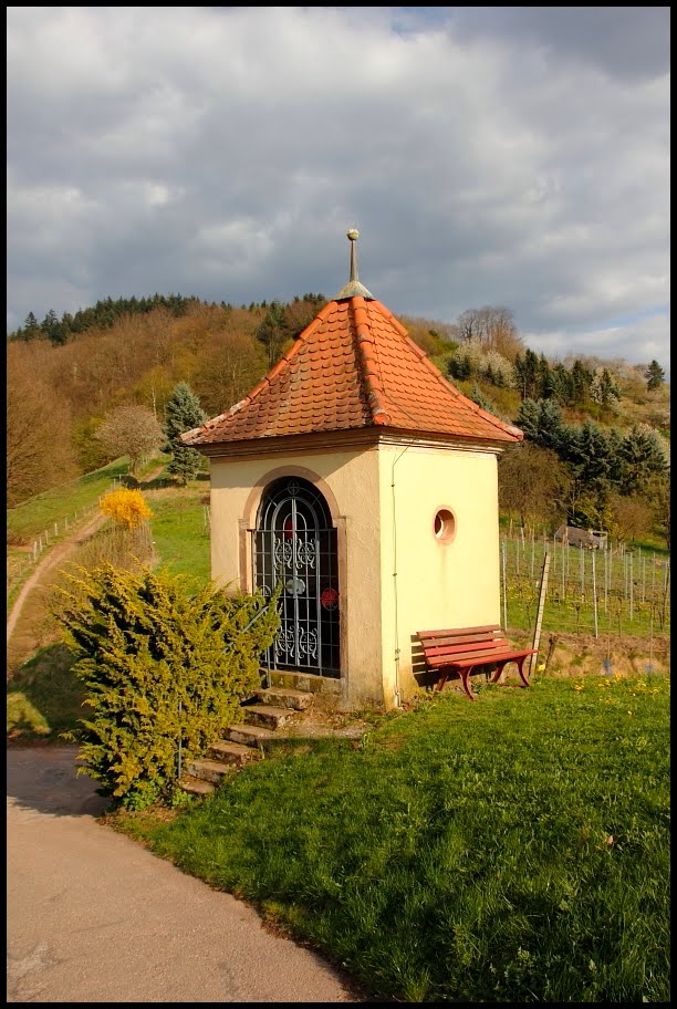 Abendspaziergang in den Weinbergen by ~~~ Thomas ~~~