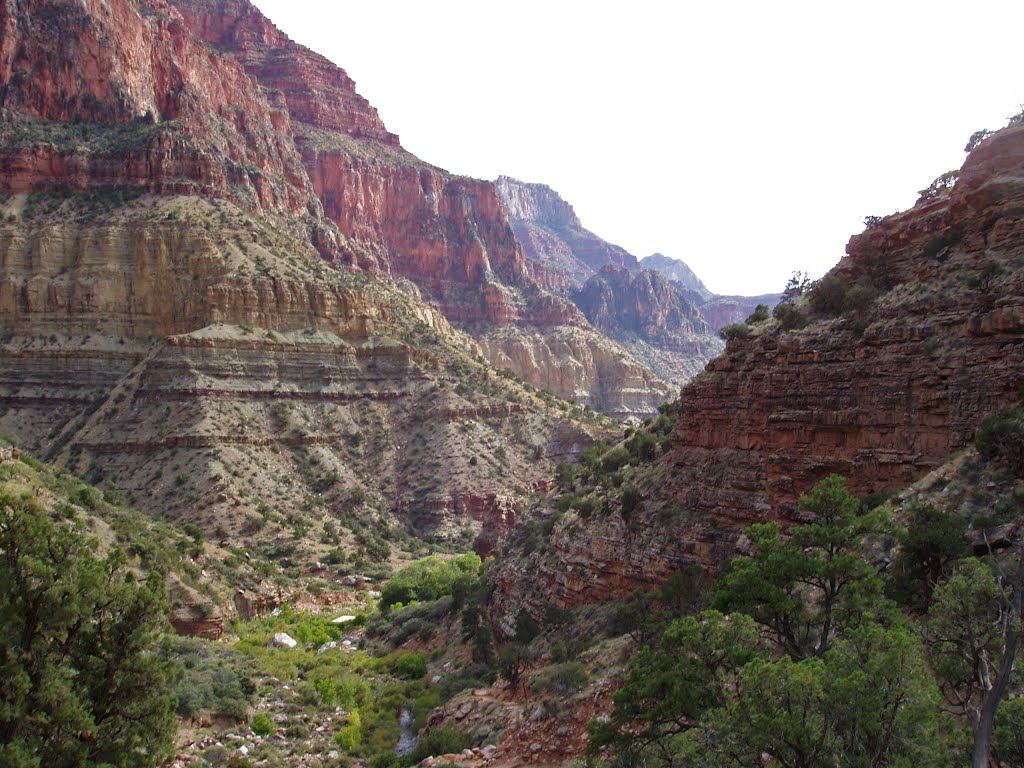 North Kaibab Trail, Grand Canyon, AZ by bobbudi