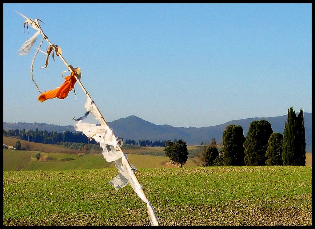 Campagna toscana...© by leo1383 by leo1383