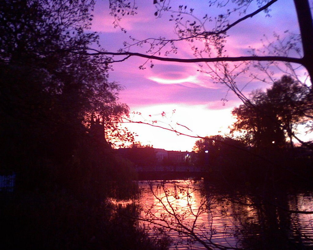 Looking south-west over the River Leam by Mary-Jo