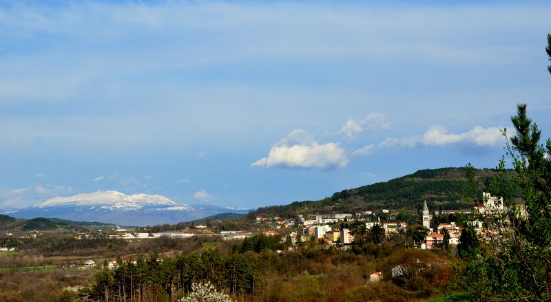 Pazin panorama by Janko Egidio