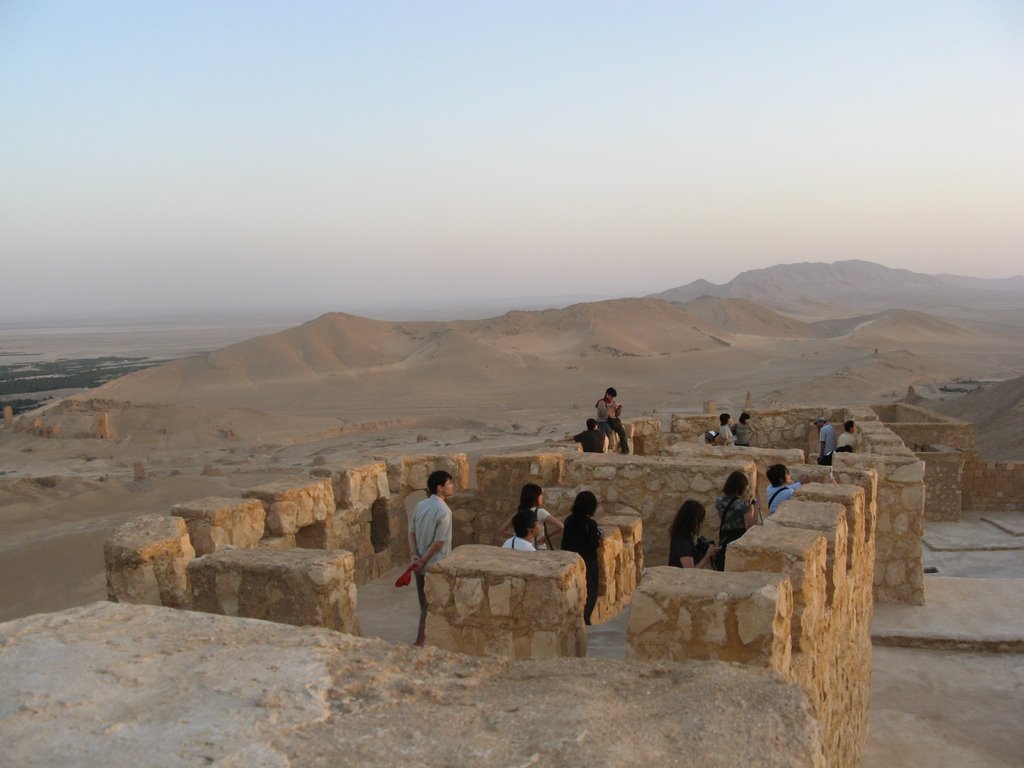 Palmyra and... a Japan tourists by Stvorek_pl