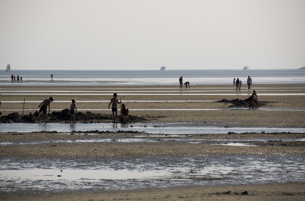 Föhr, Dammbau im Wattenmeer vor Wyk by ddomdey