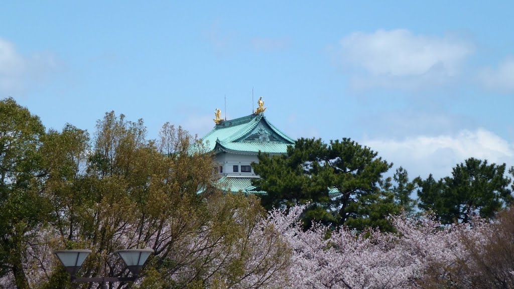 2012.4.6 正門前駐車場から見た天守閣（名古屋城） by H.Katayama