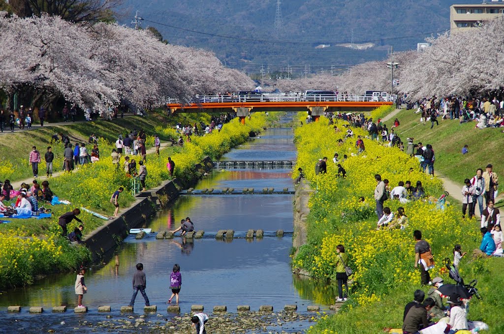 佐奈川　豊川市　Sanagawa Toyokawa by imakuman