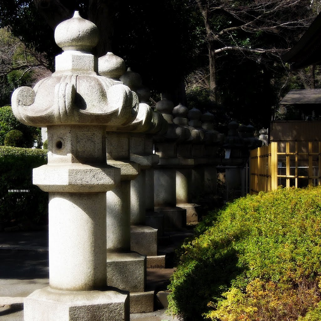 In Japan a tōrō is a traditional lantern made of stone, 松蔭神社（世田谷）の石灯籠 by mandegan