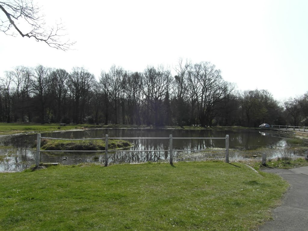 Pond on Shenfield Common by Shimmerxxx