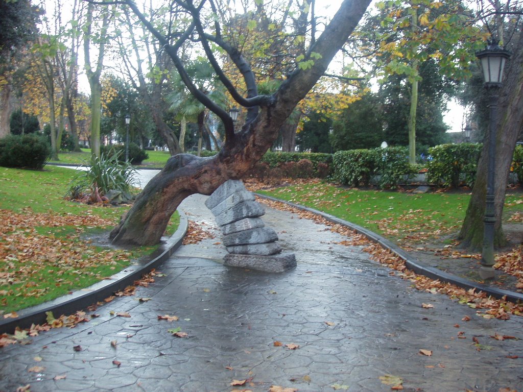 Otoño en el parque de San Francisco by higlesias