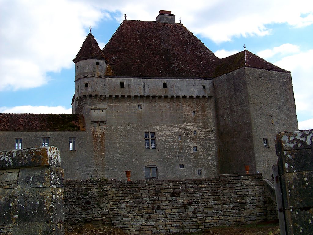 SAINT-SEINE-SUR-VINGEANNE - CHÂTEAU DE ROSIÈRES by mexicori