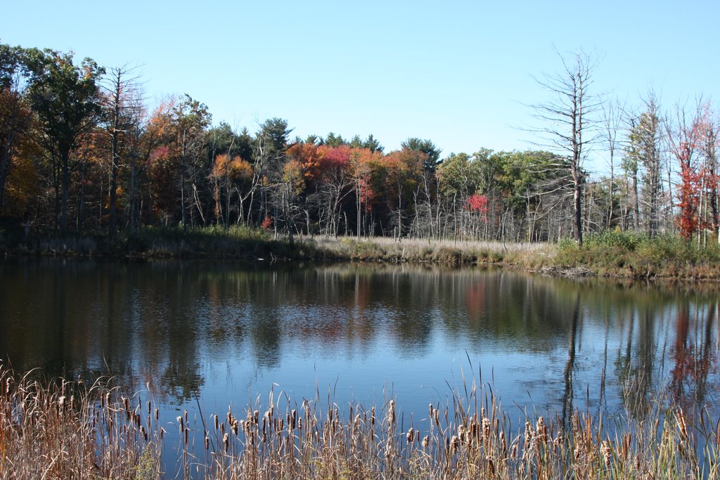 Pond on River Road by Van Ton