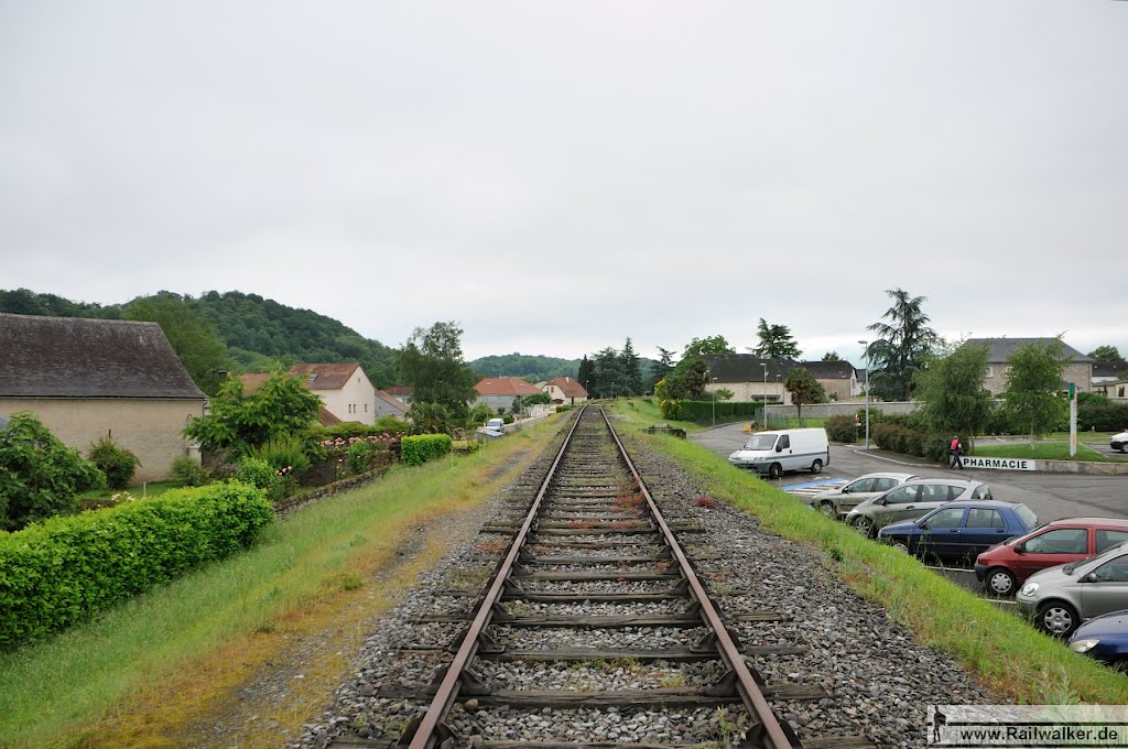 21 Jahre nach Einstellung dieses Streckenabschnitts ist der Bahndamm augenscheinlich kaum zugewachsen by Railwalker