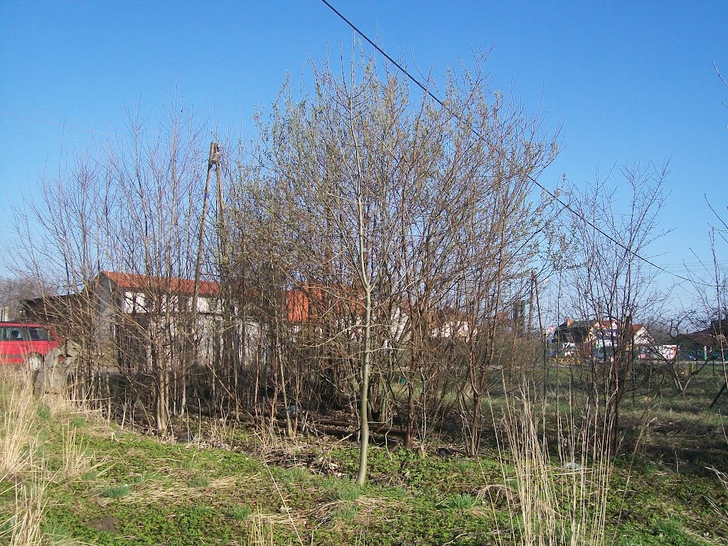 Pozostałości Kolei Wąskotorowej w Bojków Górny by fot.Wierciński Józef