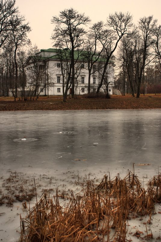 Pushkin, Saint Petersburg, Russia by Alexander Levushkin