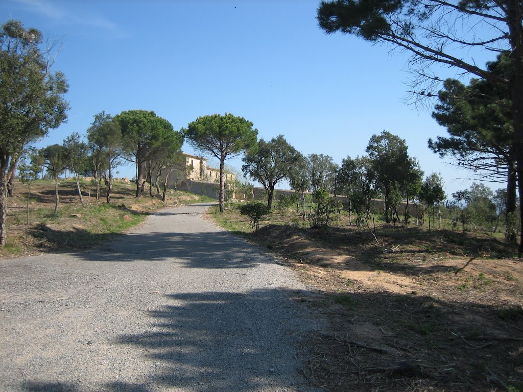 Sant Benet by Josep Valenti