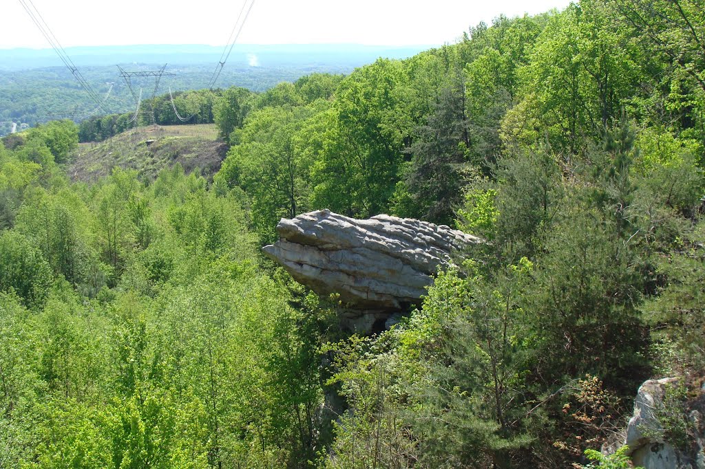 The Flying Turtle Rock by BRHorton86