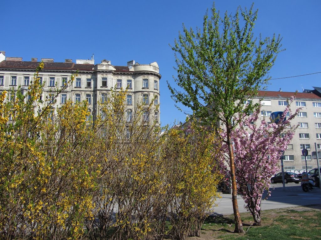 Aussicht vom Park auf die Wienzeile by b-gallery