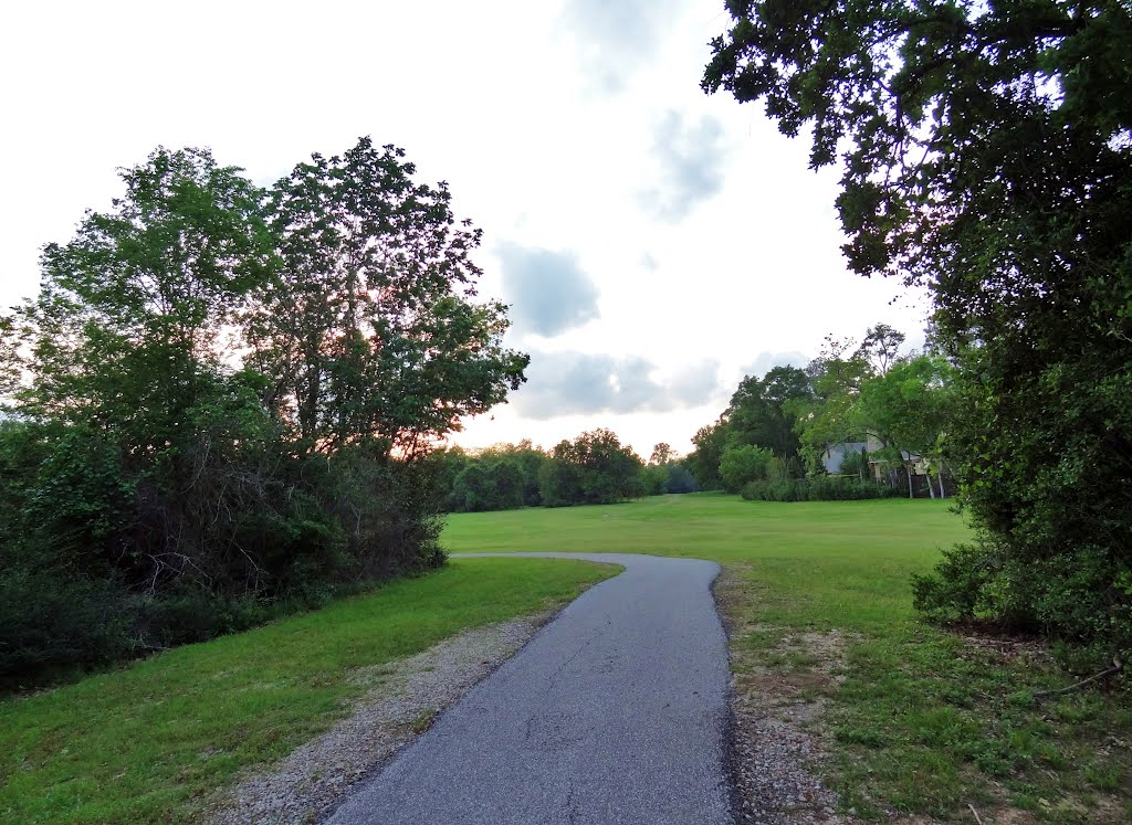 Open green on the high bank of Buffalo Bayou by WOLFGANG HOUSTON WEST