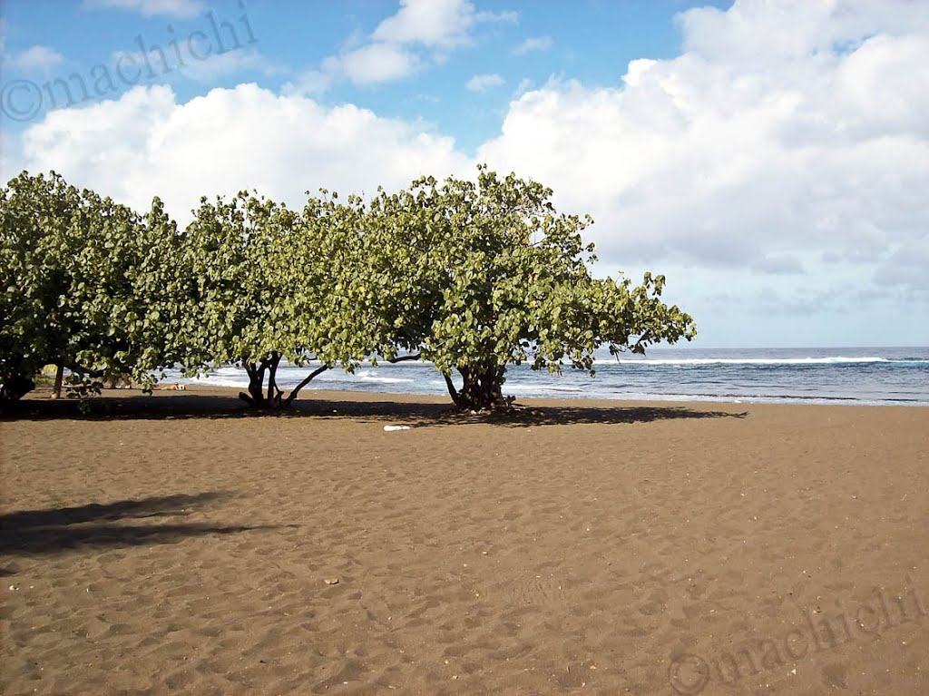 Plage de sable noir à Etang Salé (Ile de la Réunion) by machichi