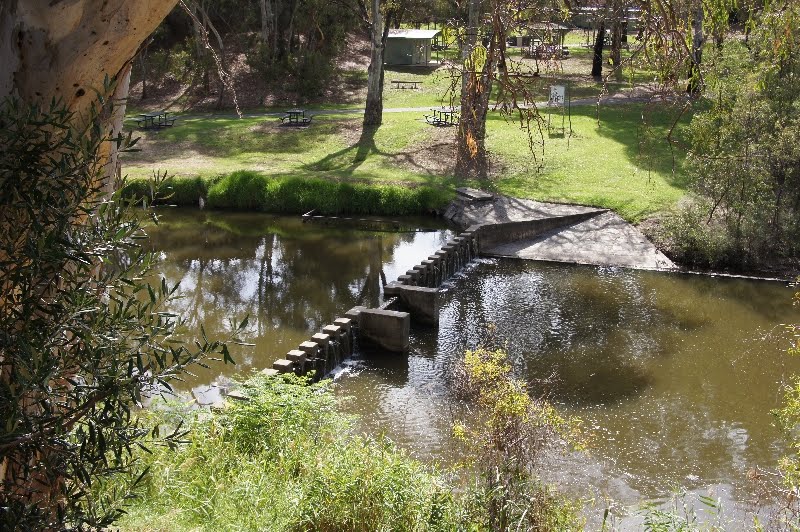 Torrens River by moorecrumbs