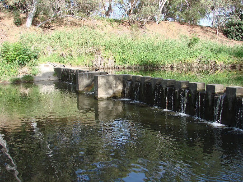 Torrens River by moorecrumbs