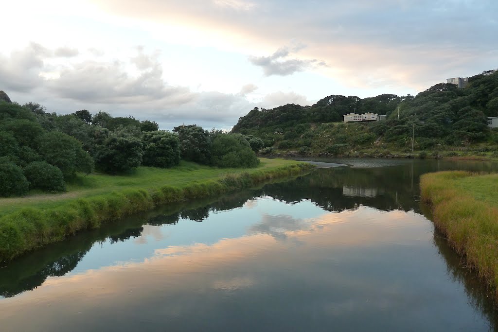 Piha Domain, Phia, Auckland by Linbery