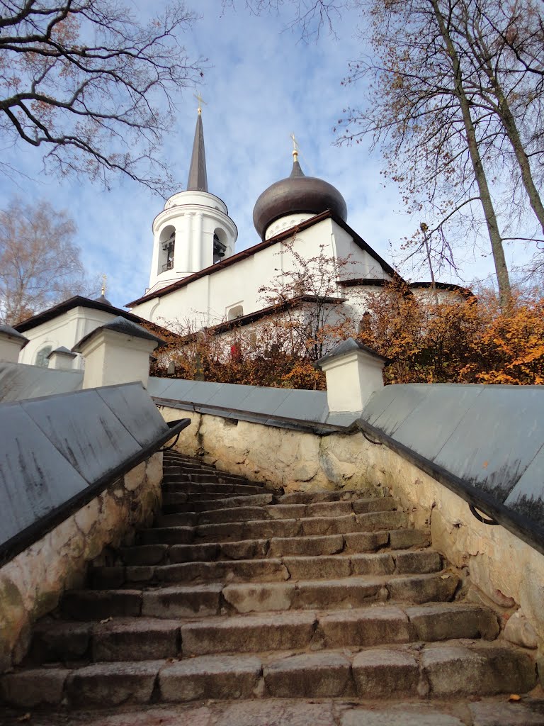 Pushkinskiye Gory, Pskov Oblast, Russia by Максим Гольбрайхт