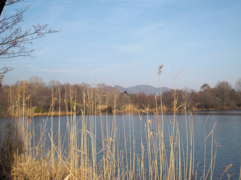 Merate, Province of Lecco, Italy by Valentinek