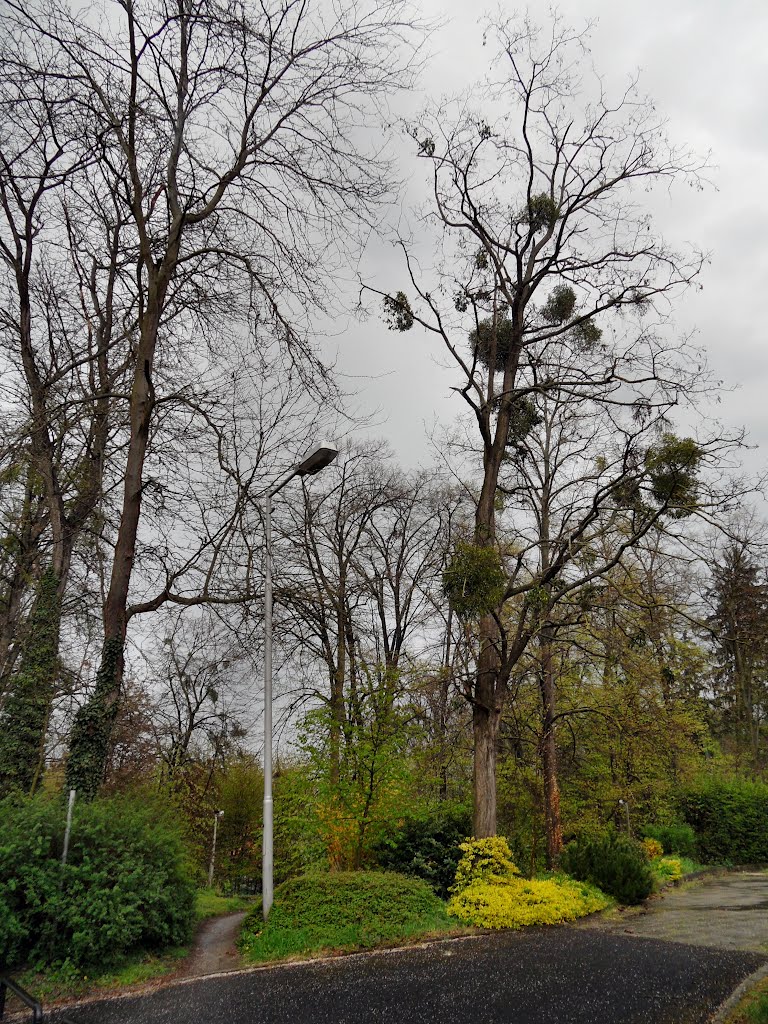 Hévíz, Utcakép - Streetview by lorant.orban