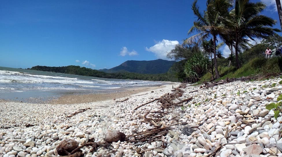 Pebbly Beach by Gustel Homann