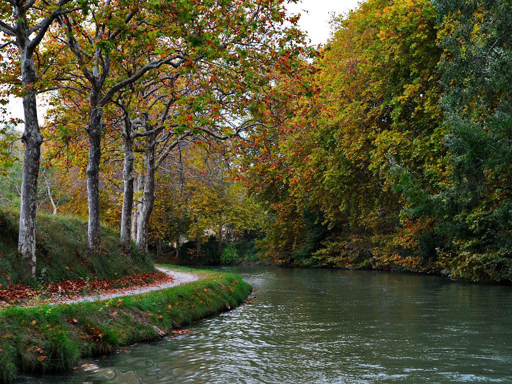 Poilhes - Canal du Midi, Languedoc-Roussillon, France by Canalous Guidemar