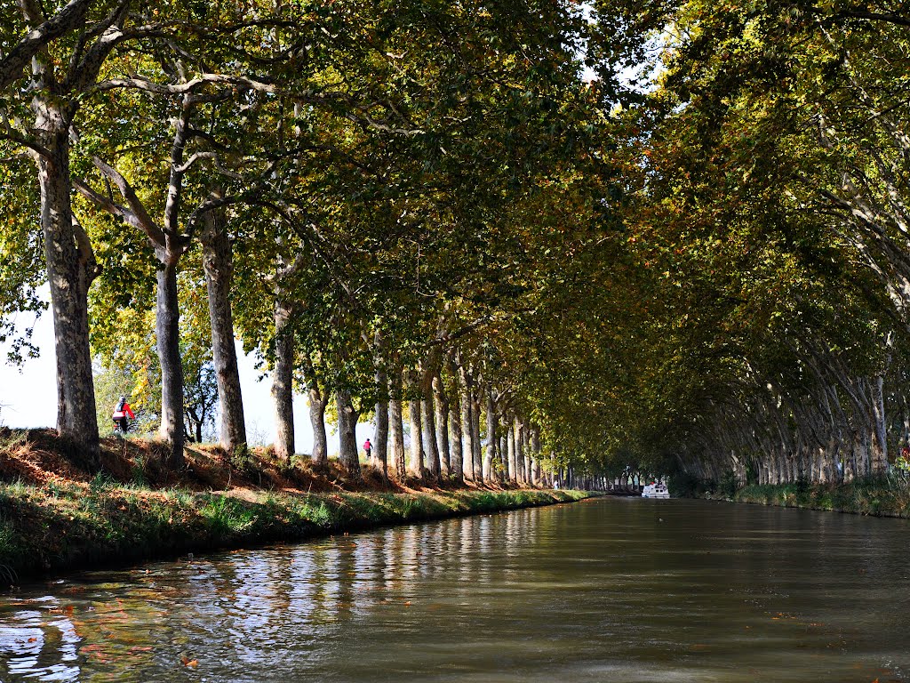 Béziers - Canal du Midi, Languedoc-Roussillon, France by Canalous Guidemar