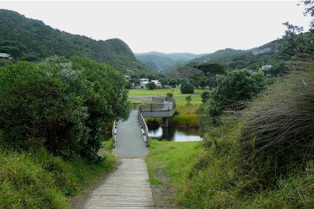 Piha Domain, Phia, Auckland by Linbery