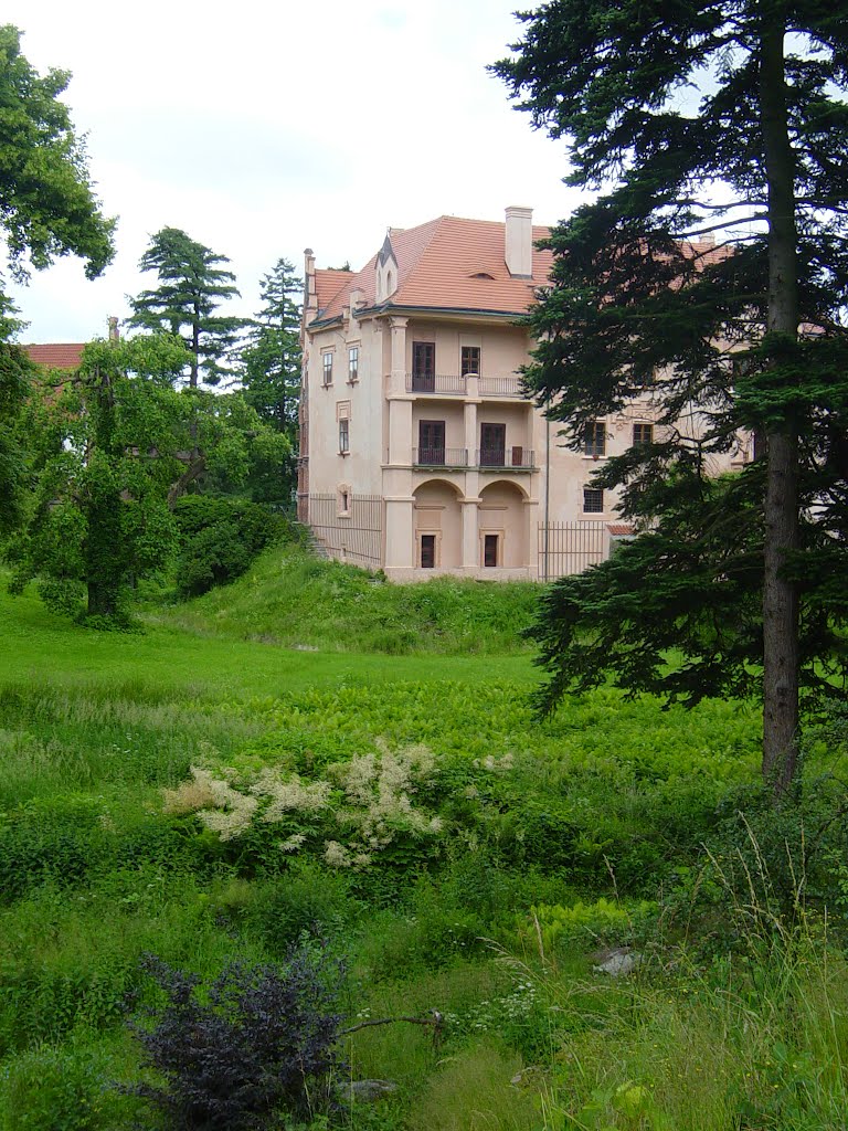 Zámek v Janovicích u Votic by josefmalich