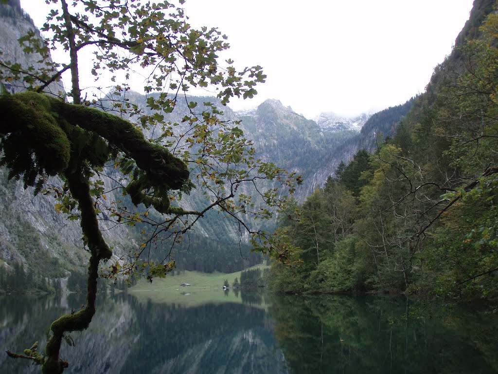 Obersee by tSindy