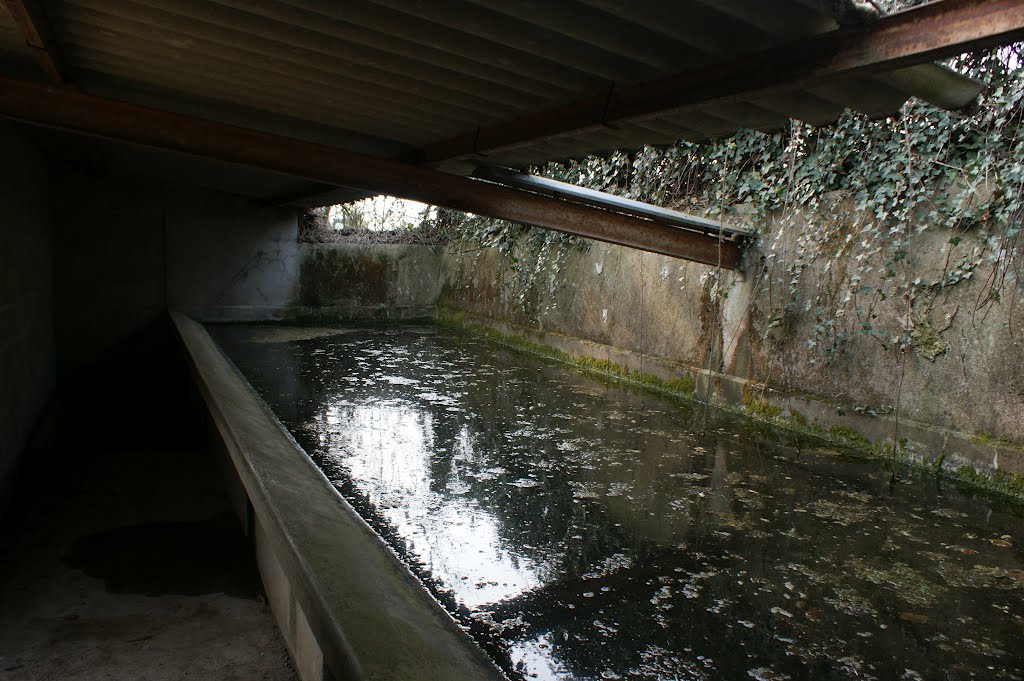 Intérieur du lavoir à Le-Mont commune de Lignerolles by philetisa