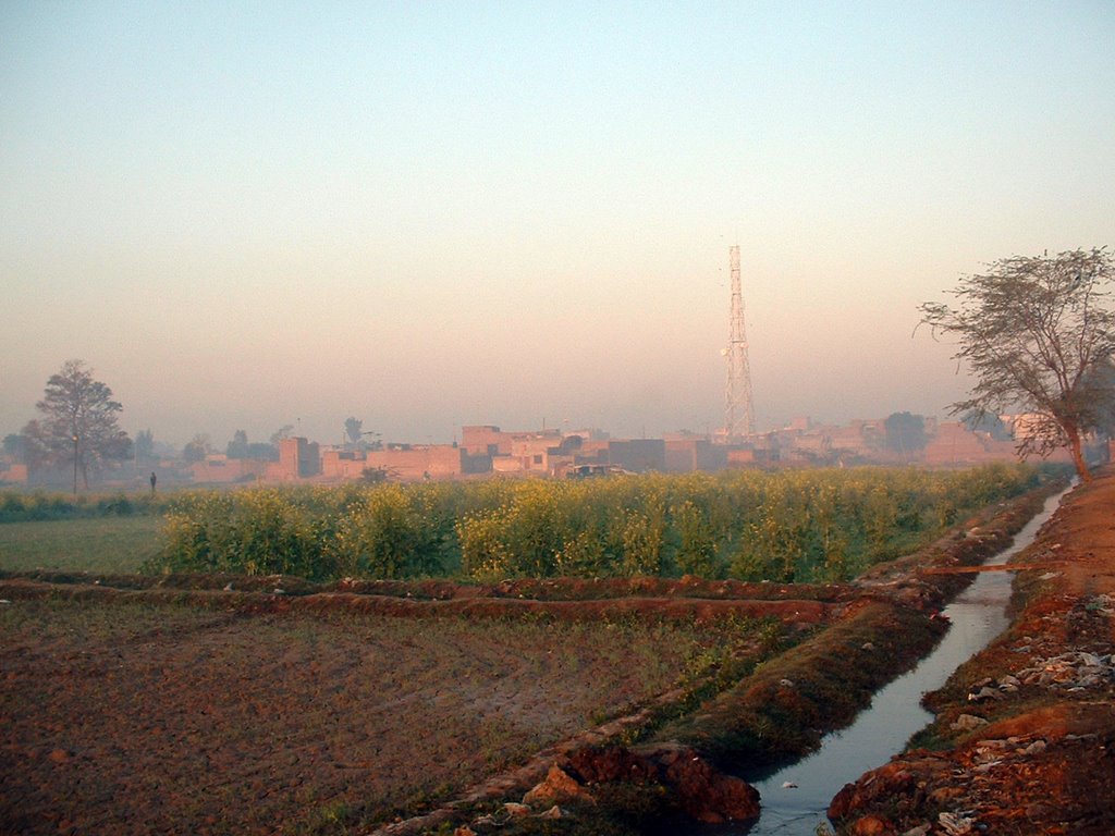 Sidhar, Faisalabad (in 2007) | www.ClockTowerCity.com صبح سویرے کھیت کا منظر by AbdulSattar Minhajia…