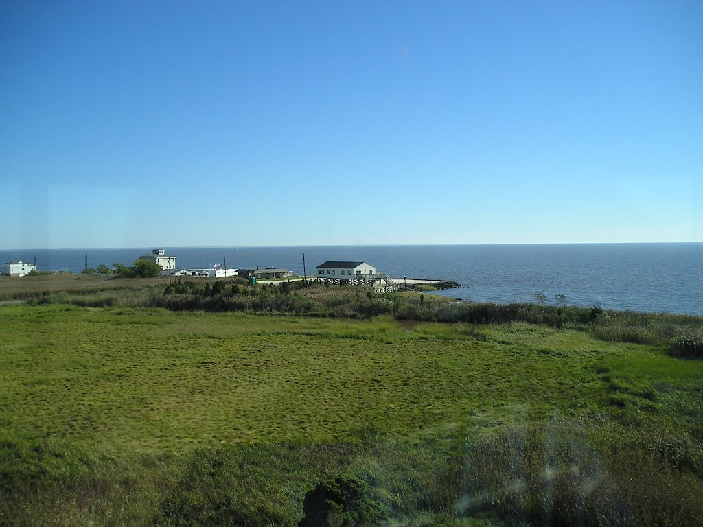 View of Delaware Bay from East Point Lighthouse - Heislerville Fish and Wildlife Management Area, Maurice River, NJ by Andy Romanofsky