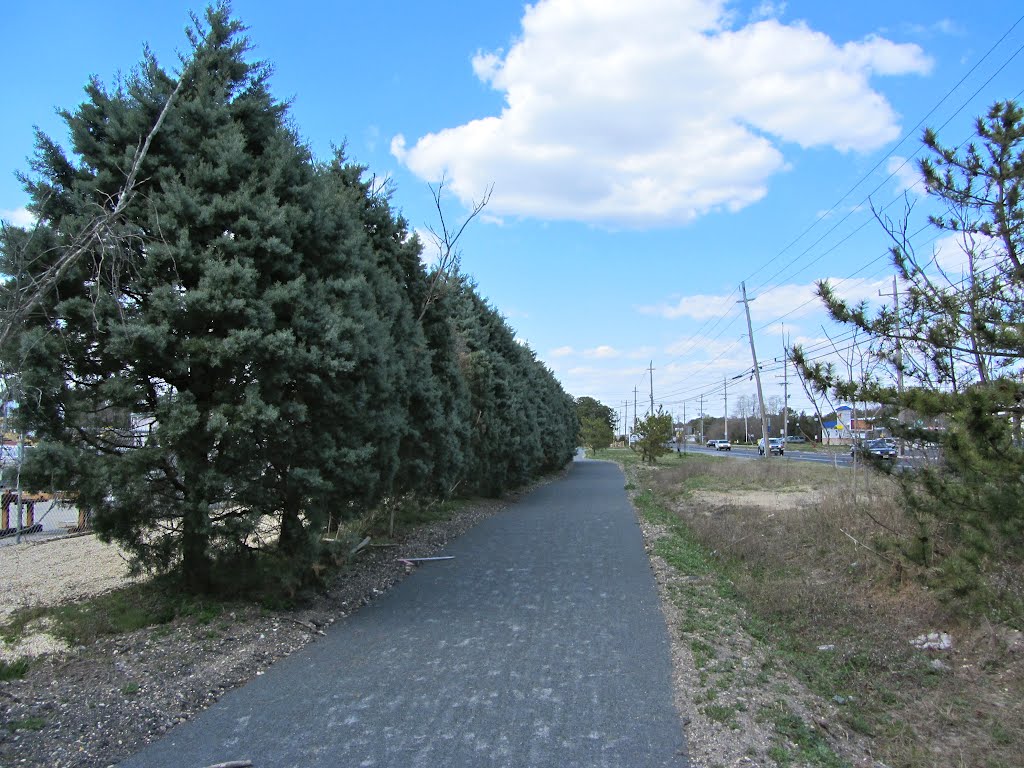 Barnegat Branch Trail by Adam Elmquist