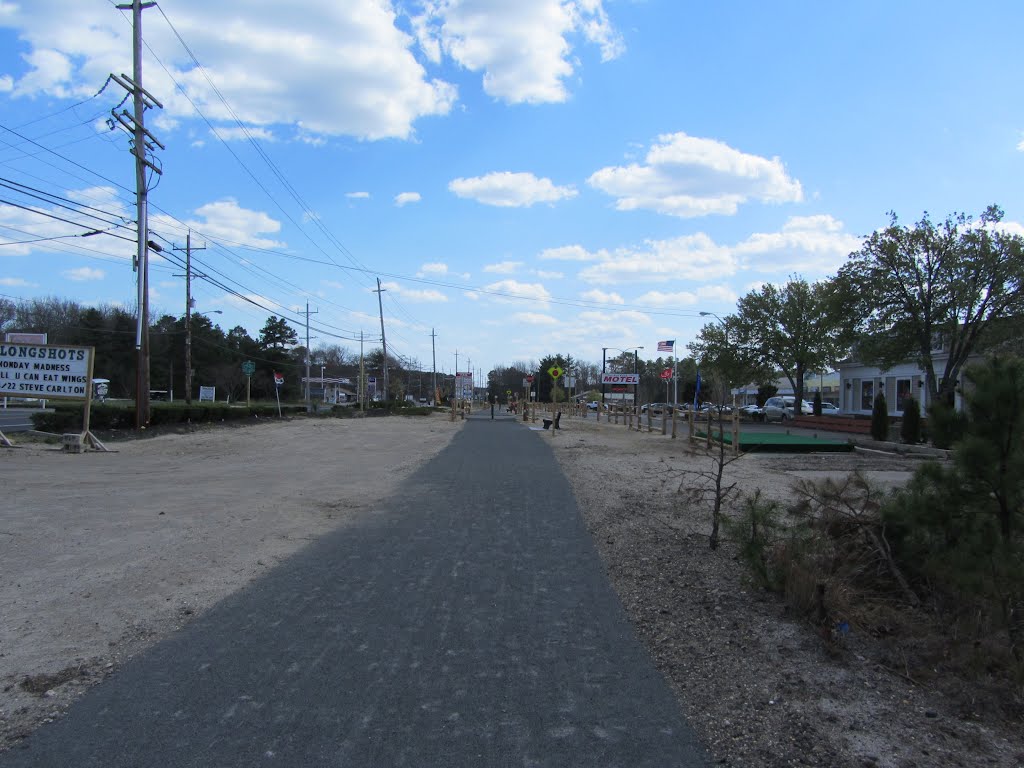 Barnegat Branch Trail by Adam Elmquist