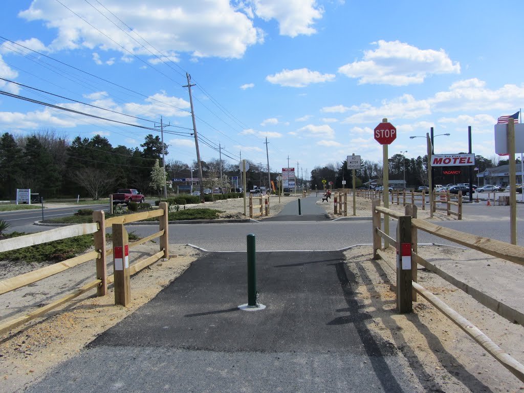 Barnegat Branch Trail by Adam Elmquist