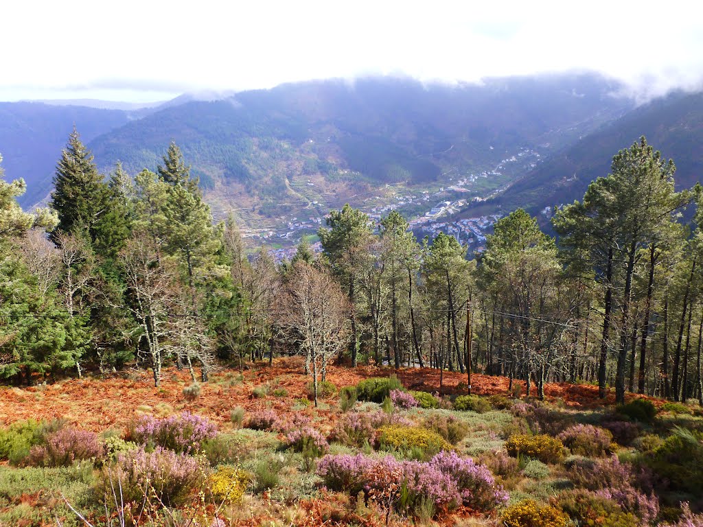 Cores da serra da estrela by Fatima Rodrigues