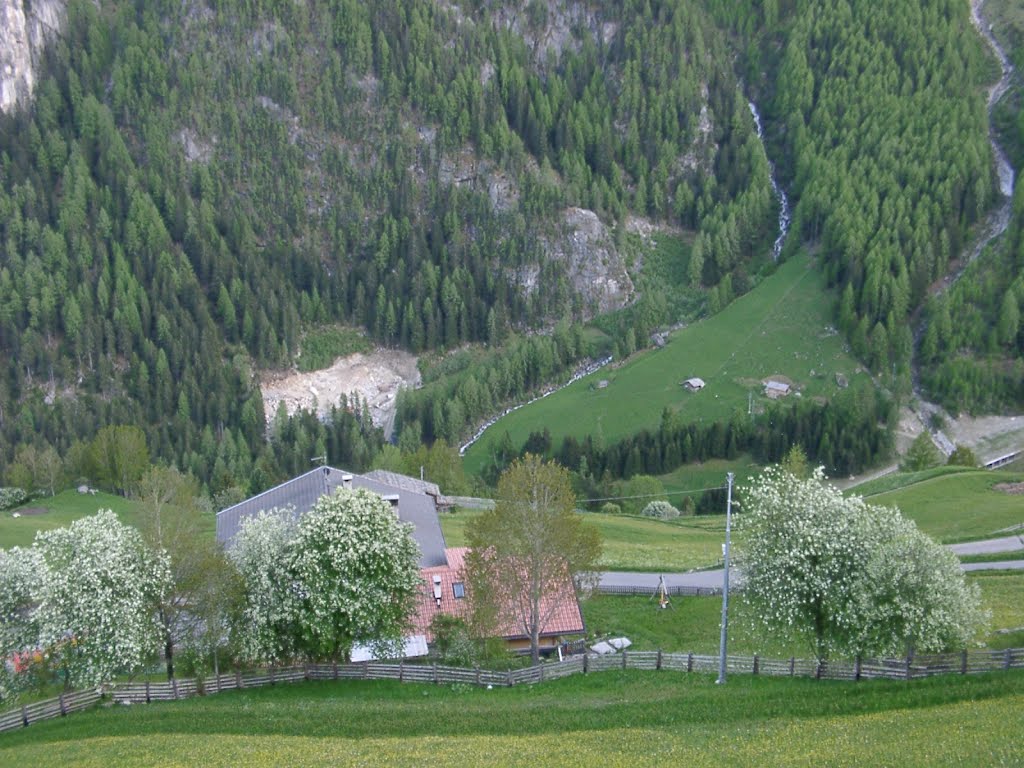 Blick ins Tal by Horst Schumacher