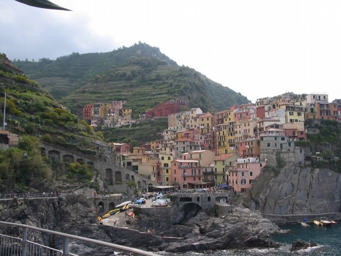 Manarola by Davide Caricati